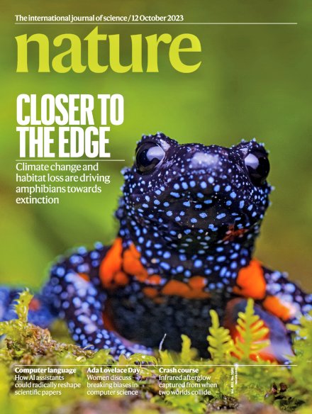 Mauricio Ortega tweet media