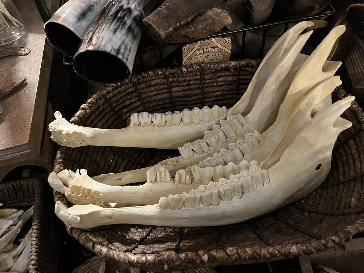 난 요리교실 같은거라고 생각했는데 엄청 본격적인 위쳐리였음 내 양옆에 앉은 사람들 알고보니 둘다 마녀여가지고 미니가마솥에 넣을 저주 재료 다 가지고 옴………왼쪽은 젠지마녀여서 미운사람 찔러죽일 바늘 부스러기 글리터 이런거 담은 조그만 병이 가득 담긴 약상자를 꺼내더라고 그래서