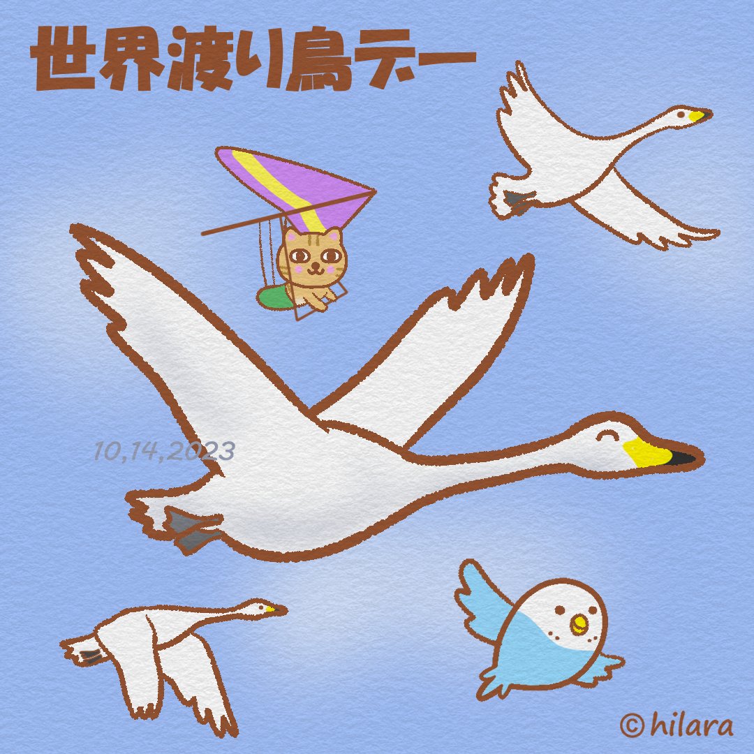 10月14日 【世界渡り鳥デー】🦢
(5月·10月第2土曜日)
😺白鳥さんと一緒に空を飛んだニャ
🦜日本でゆっくりしていってください…ピ
#WorldMigratoryBirdDay #インコ #ねこ #イラスト #みんなで楽しむTwitter展覧会 #illustration