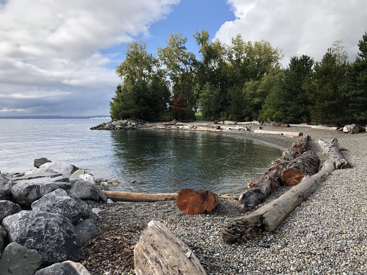 Yihui Shen tweet media