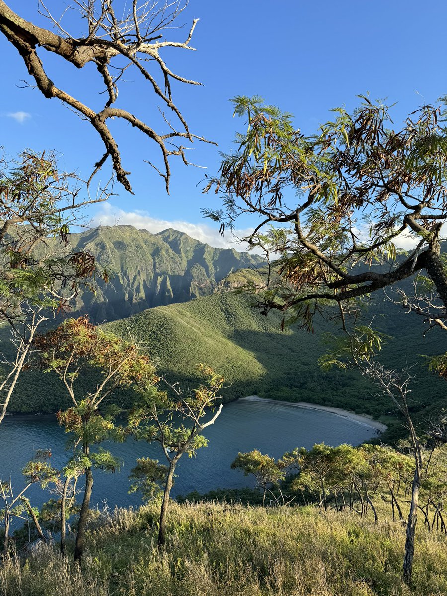 je viens de passer une semaine coupée du monde sur cette plage
