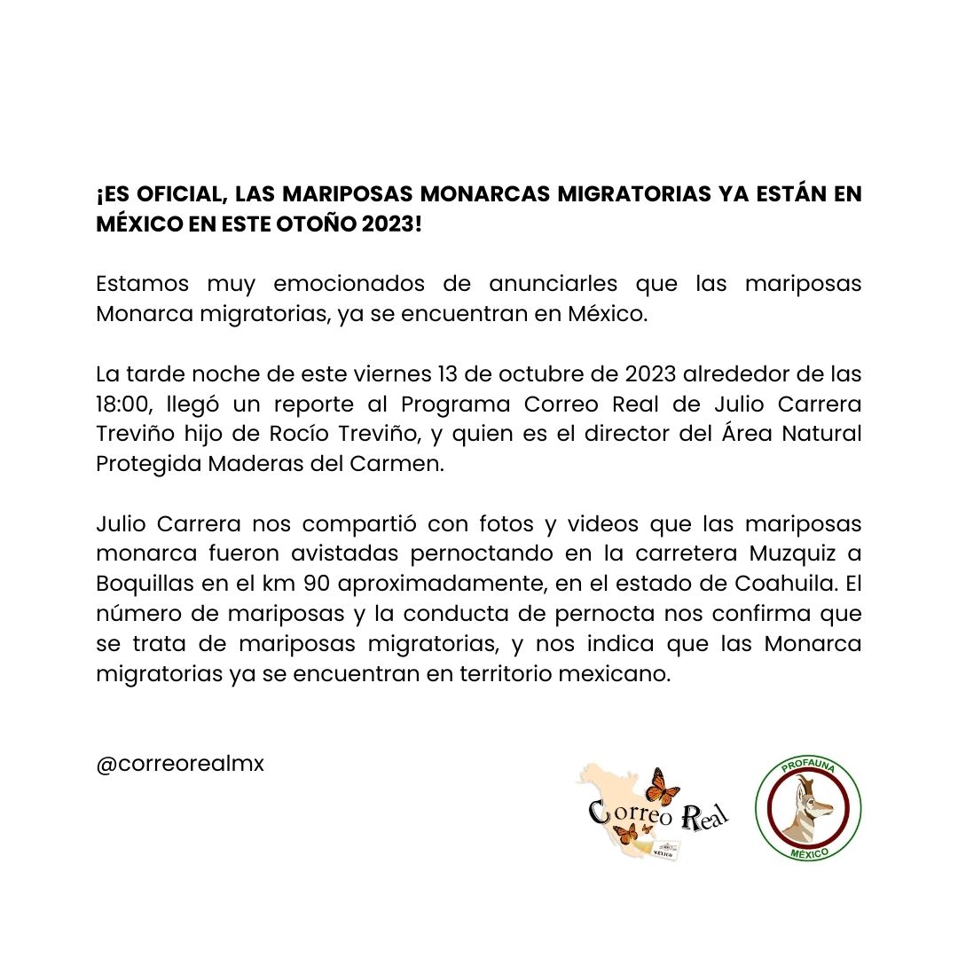 ¡ES OFICIAL, LAS MARIPOSAS MONARCAS MIGRATORIAS YA ESTÁN EN MÉXICO EN ESTE OTOÑO 2023! 

Estamos muy emocionados de anunciarles que la mariposa Monarca migratorias, ya se encuentra en México.

#MariposaMonarca