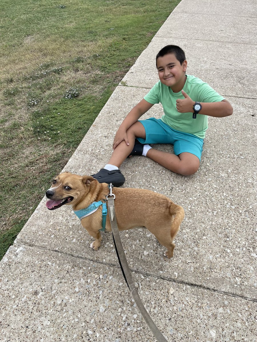 Amy Sinclair tweet media