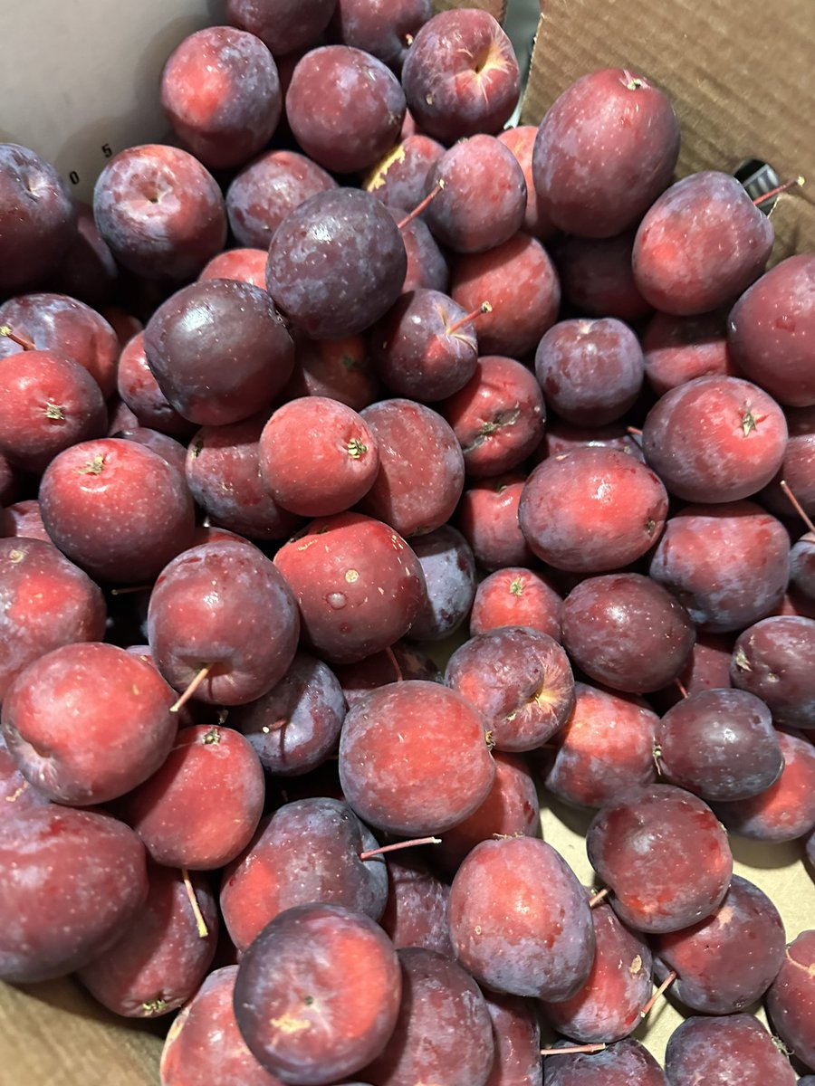 Mona Howe tweet media