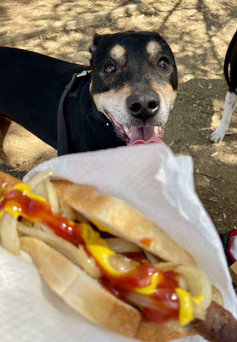 #DemocracySausage #ReferendumSausage Yes I did walk up to the voting site just to get a sausage sizzle