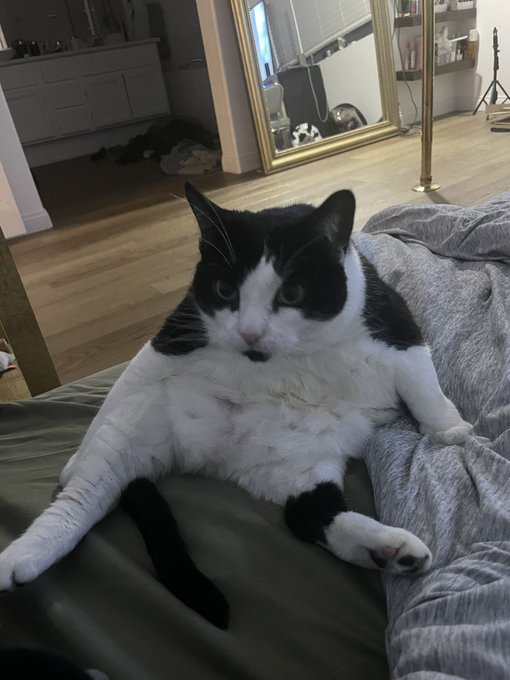 Why is she like this lmaoooo https://t.co/BUAi4rJqHF<a href="/tag/mvsales"class="tags"><span>#mvsales</span></a>