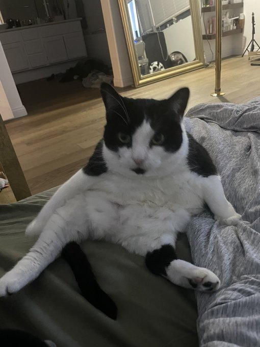 Why is she like this lmaoooo https://t.co/BUAi4rJqHF<a href="/tag/mvsales"class="tags"><span>#mvsales</span></a>