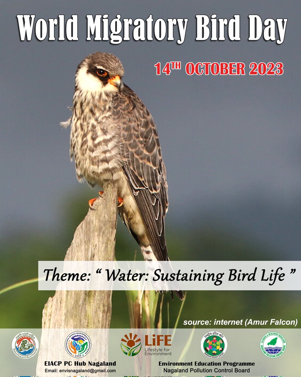 World Migratory Bird Day

Date: 14th October 2023
Theme: “Water: Sustaining Bird Life”.

#MigratoryBirdDay is an annual global campaign to raise awareness about #migratorybirds, the need for their conservation, and the importance of the preservation of their habitat.