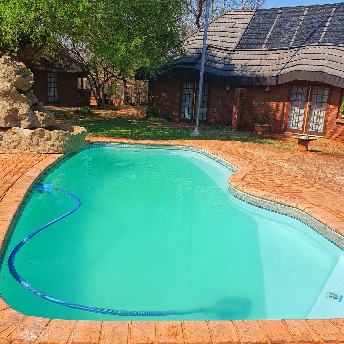 daphnesargent's tweet photo. #bosveld
#rooibok
#biltong
Another world exists far north of SA's financial hub
Limpopo serves the best freshly baked bread together with a holiday of note . . . https://t.co/JXT4SvrR2p