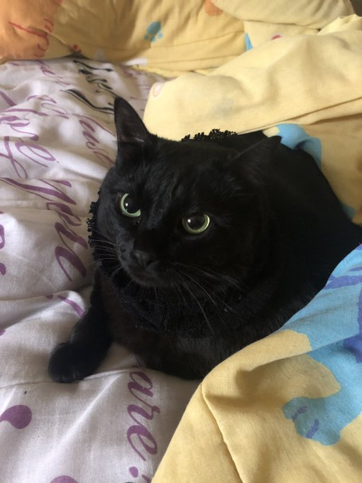 não consigo aceitar que perdi você .. eu vou te amar pra sempre, minha bbzinha ? https://t.co/GVBJ7G