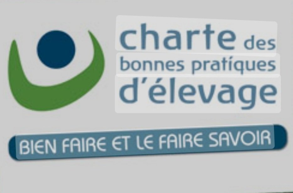 InterbevGdEst's tweet photo. Retour en 📷 ven 13 en @regiongrandest
- formation #CBPE pour les techniciens en charge d'élevages laitiers #cilbfcest
- webinaire Région GE sur l'alimentation durable et de qualité #labelrouge #loqualite
- salon des produits de fin d'année @PassionFroid1 Est avec #labelrouge https://t.co/q5kDZwjdPr