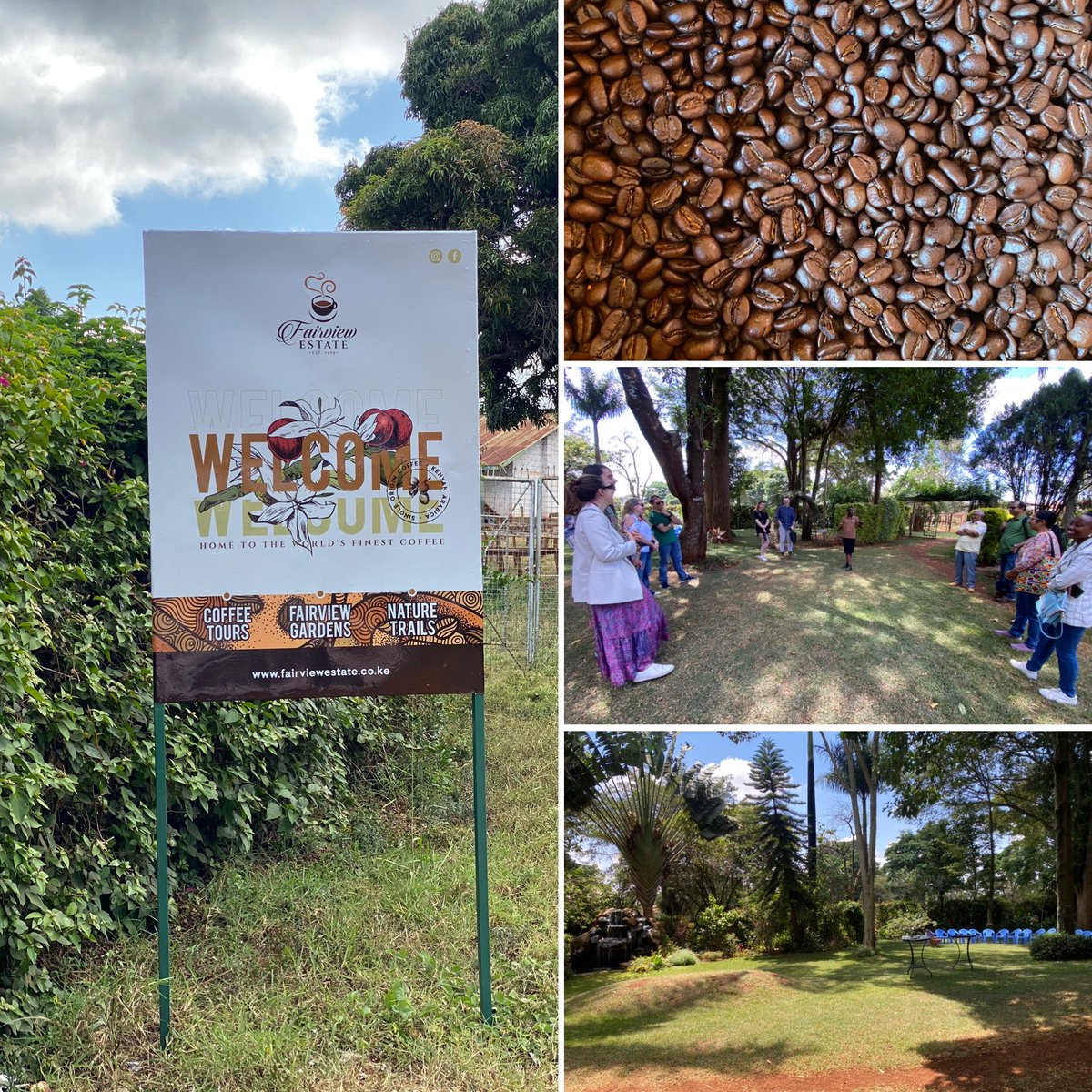 “Home to the World’s Finest Coffee”, Est. 1909

#coffeetours #coffeeadventures #coffeelovers #immersivetours #Kenya @magicalkenya @KenyaGuides @ToskKenya @KiambuTourism
