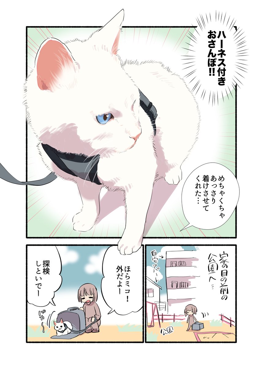 脱走しようとする元野良猫の話(2/3) #漫画が読めるハッシュタグ