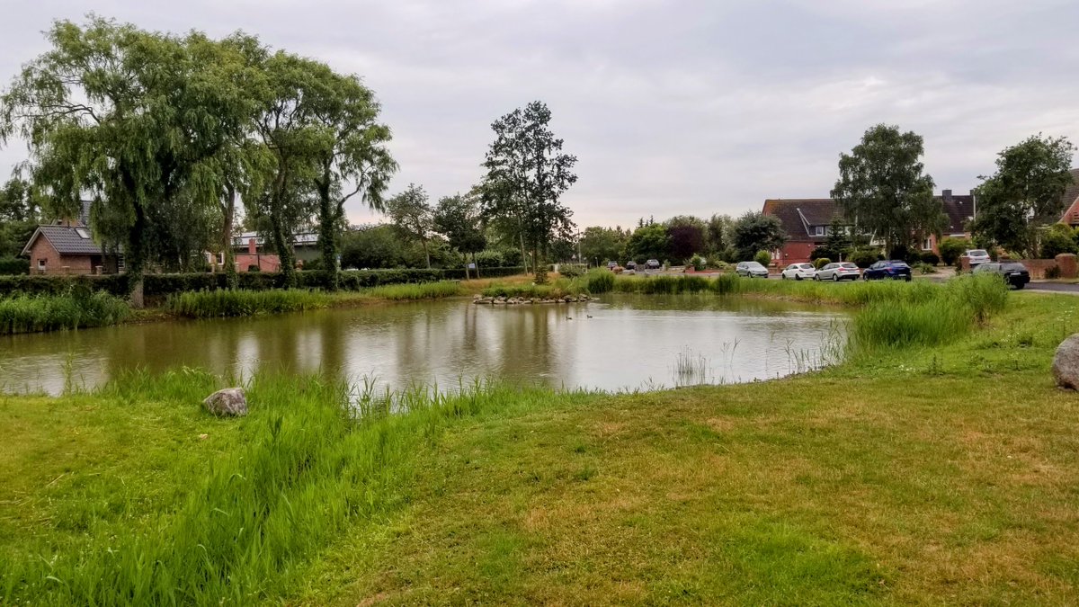 Impressionen von Fehmarn... 
 #Fehmarn #Ostsee #Insel #Ferien #Urlaub #ostseeliebe #küstenliebe #balticsea #meerliebe #schleswigholstein #strand #meerweh #ostseeurlaub #reiselust #ostseekult 
natuerlichfehmarn.de