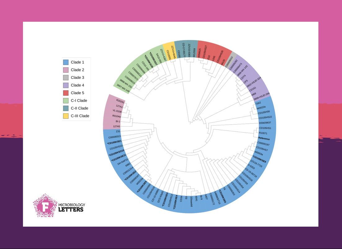 FEMSmicro's tweet photo. C. difficile can be a nasty pathogen, but environmental reservoirs are understudied in northern Iraq!
Rashid et al. @srwaJRashid identified novel types, showing high diversity and containing #CRISPR-Cas systems and #prophages 🦠🧬 #FEMSMicrobiolLett
https://t.co/Xsg8S8pqfQ https://t.co/pHIRMh7ehj