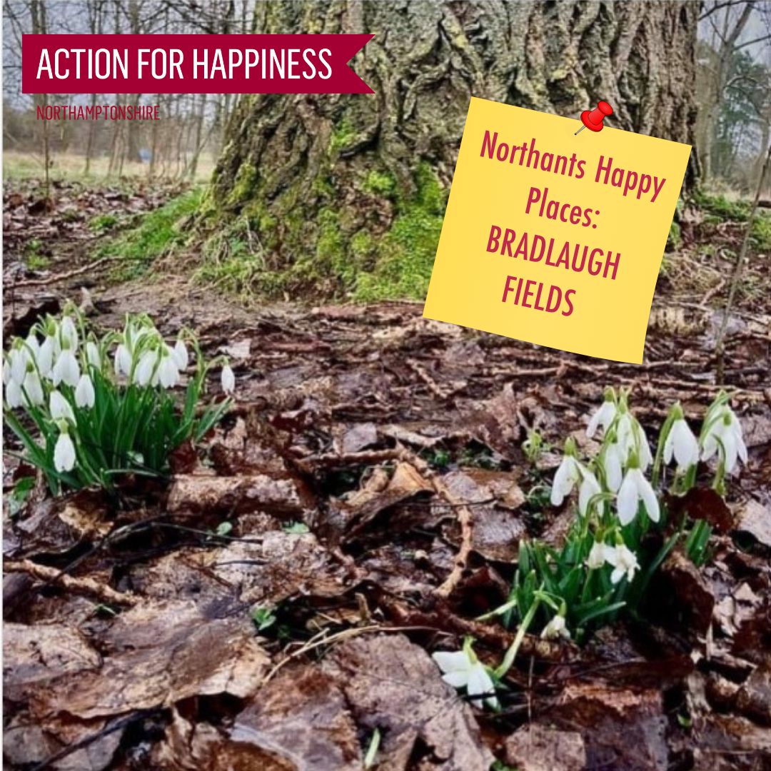 There is so much happening at Bradlaugh Fields in Northampton, from a cafe to group walks and much more, it's definitely one of our happy places! Where's your #Northants happy place? #GreenSpaces #Nature #OptimisticOctober