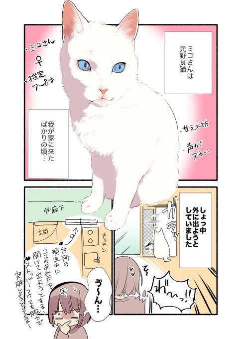 脱走しようとする元野良猫の話(1/3)
#漫画が読めるハッシュタグ 