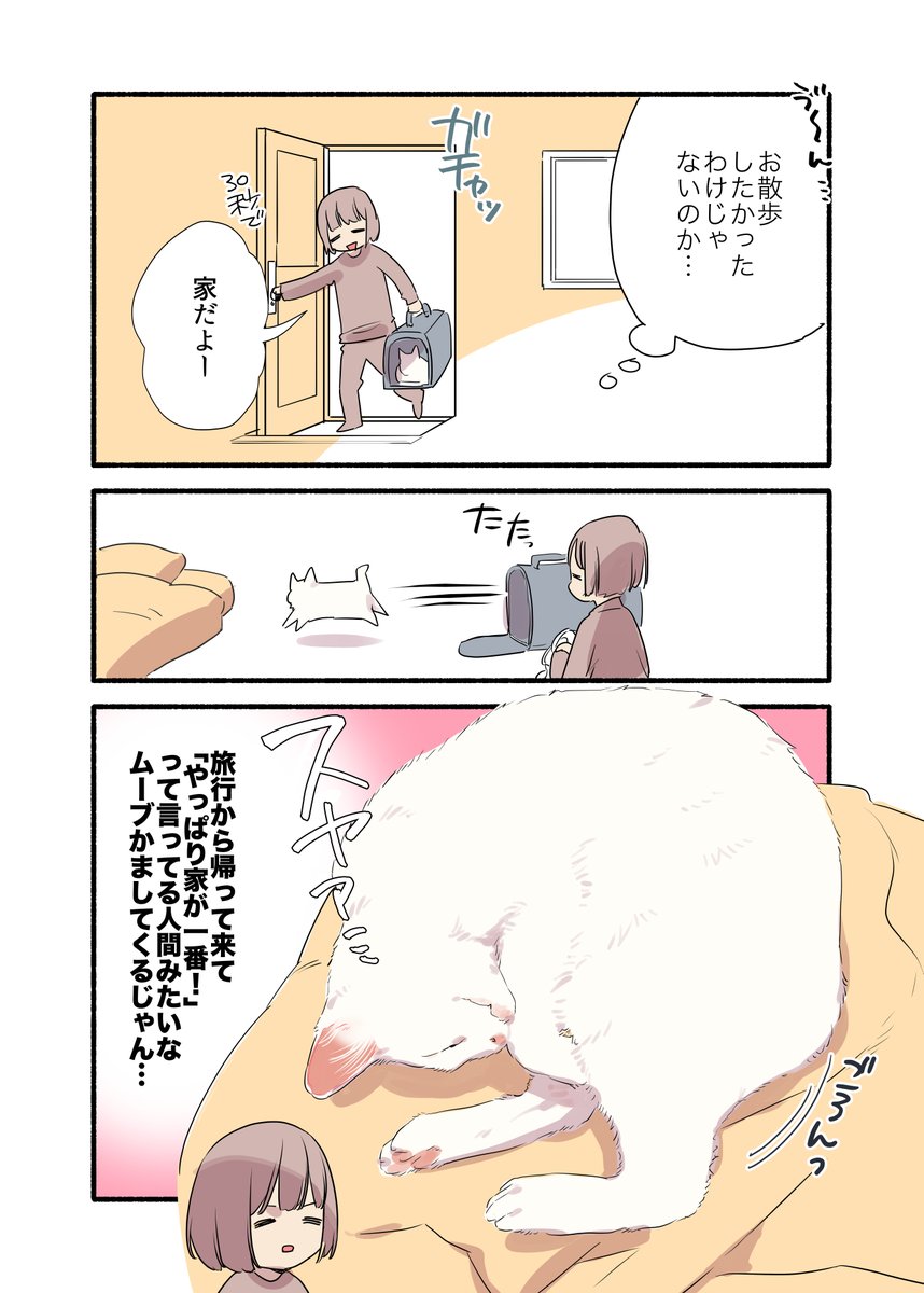 脱走しようとする元野良猫の話(3/3) #漫画が読めるハッシュタグ