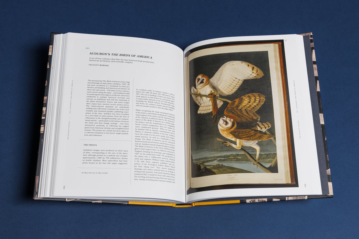 What can a book's design tell us about its creation?

The Book by Design explores the artistry of some of the most treasured volumes in our collection – from the Lindisfarne Gospels to Penguin’s Paperback Revolution.

Read insights from our curatorial teams alongside striking new