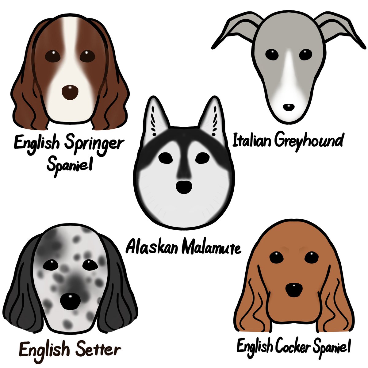 ワンポイントわんこシリーズ、新たに5種類追加です🐶

 #犬  #犬グッズ
 #アラスカンマラミュート
 #イタリアングレーハウンド
 #イングリッシュコッカースパニエル
 #イングリッシュスプリンガースパニエル
 #イングリッシュセッター