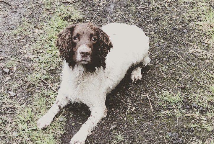 justyn knight tweet media