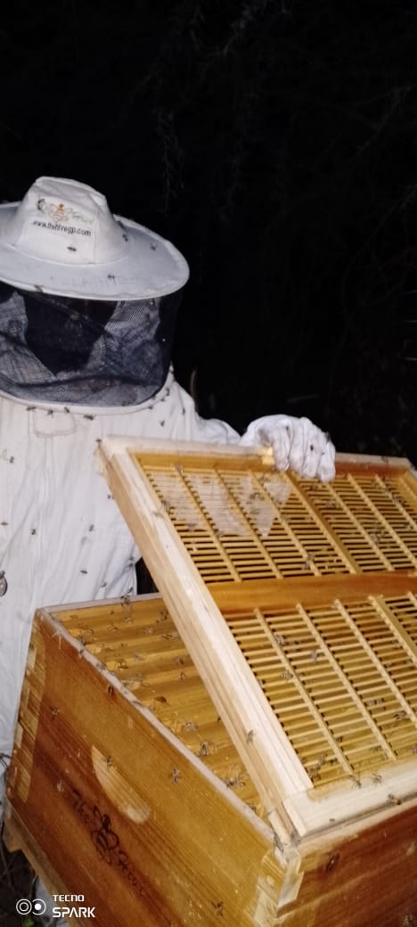UgandaHive's tweet photo. Checking Out Clients Beehives and Placing Supers

🍯🐝Get Optimal Beehive Management Services Maximizing Honey Production  Get This Services Dial #Acacia 0778 805 123 | +256  759 665 604 https://t.co/whB4gKle0w