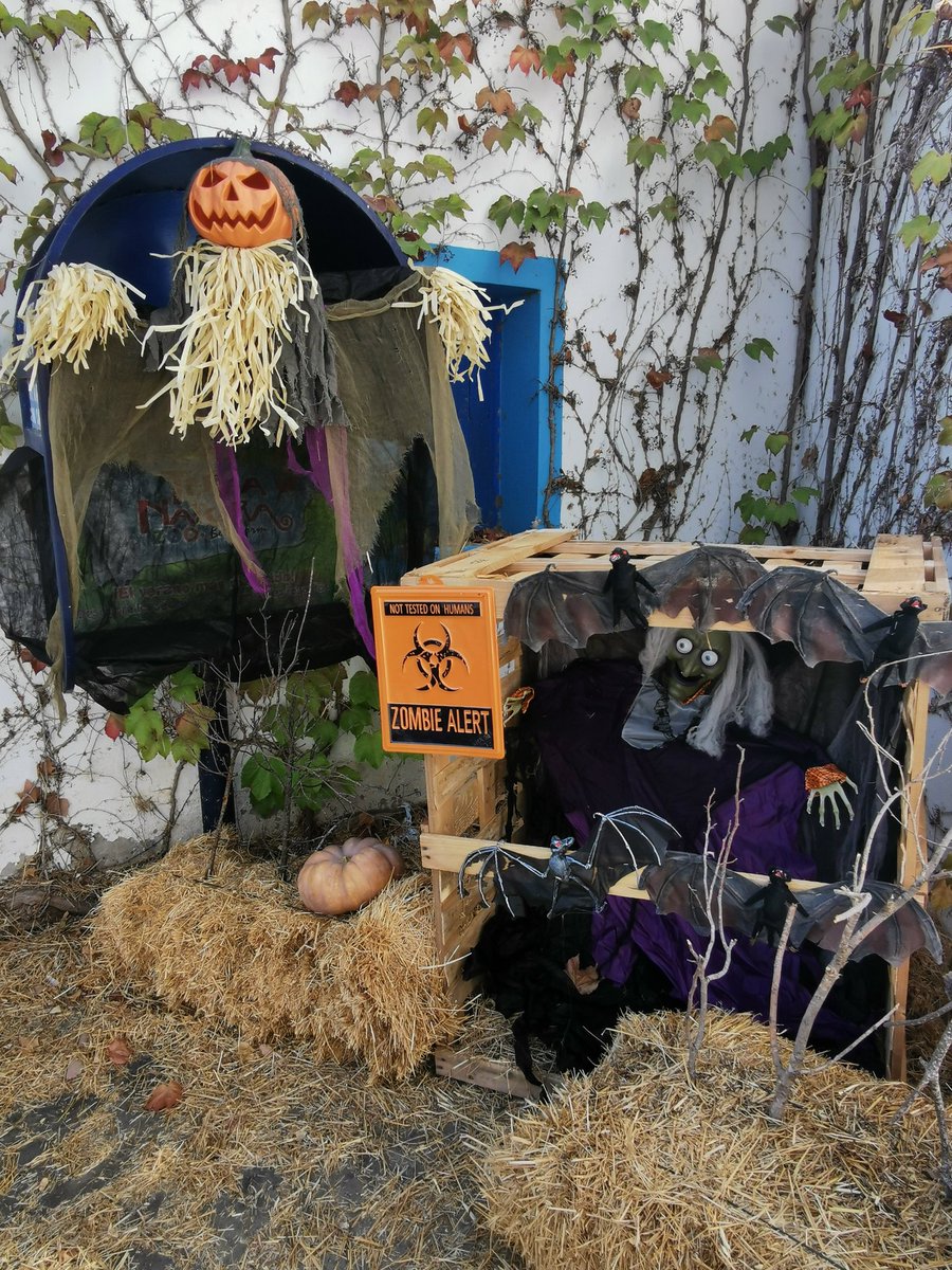 TerraNaturaZoo's tweet photo. ¡¡Welcome #Halloween!! 💀👿👻🧟‍♂️🧛🐍☢️🦴🧠 @TerraNaturaZoo
#Talleres, pintacaras, la #MAGIA más espectacular del #MAGO @magmalastruc, ESCAPE ROOM FAMILIAR, EspecialEscuela de Hadas y Duendes... y el 28 de octubre 🟢🔵🟣#HOLIWEEN, la gran FIESTA de los polvos fluorescentes!!!! https://t.co/BF9wPUGMo2