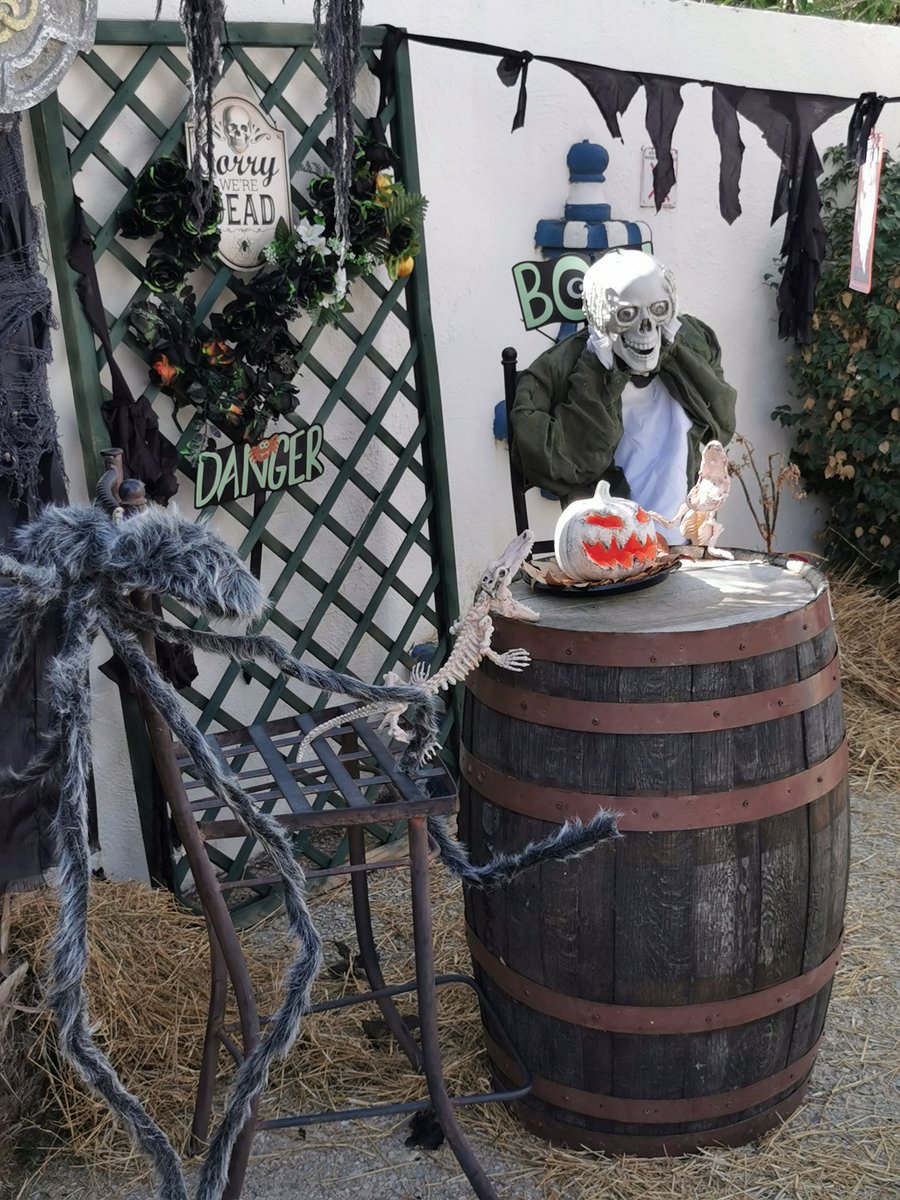 TerraNaturaZoo's tweet photo. ¡¡Welcome #Halloween!! 💀👿👻🧟‍♂️🧛🐍☢️🦴🧠 @TerraNaturaZoo
#Talleres, pintacaras, la #MAGIA más espectacular del #MAGO @magmalastruc, ESCAPE ROOM FAMILIAR, EspecialEscuela de Hadas y Duendes... y el 28 de octubre 🟢🔵🟣#HOLIWEEN, la gran FIESTA de los polvos fluorescentes!!!! https://t.co/BF9wPUGMo2