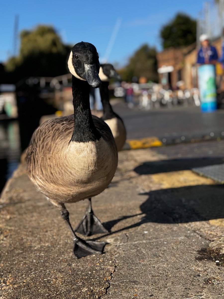 Good morning Islington!   

It’s a beautiful day out here.