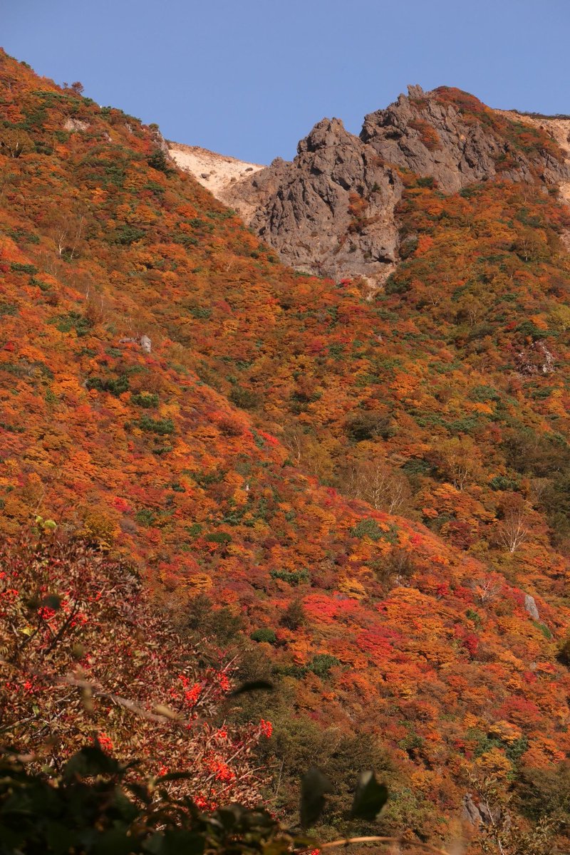 Xc8ZC7QoB1WDO7R's tweet photo. 紅葉の那須岳
2023.10/14 https://t.co/HjqDna9qMn