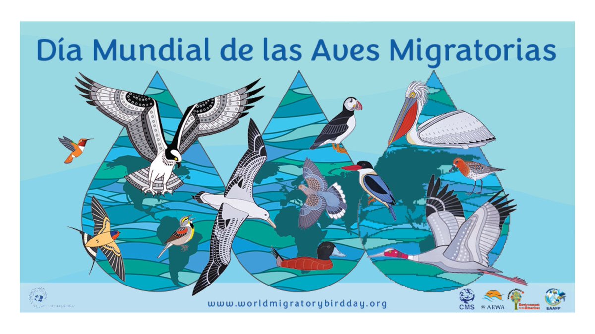 #Ura, funtsezkoa 2023ko #HegaztiMigratzaileenMundukoEgunean 🦤, #LIFE_IP_NAdapta_CC batzen dena

➡️lifenadapta.navarra.es/eu/-/dia-mundi…

#HCCN #KLINA #KlimaAldaketa #Hegaztiak #Arintzea #NafarroaGreen