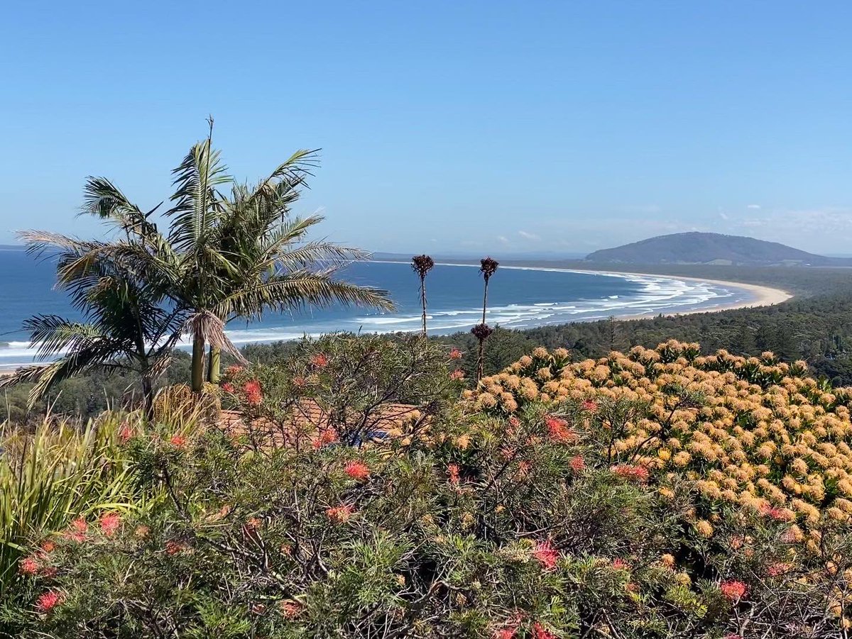 joelsm's tweet photo. Does The Idiot Plan To Walk Around Australia? https://t.co/yc20SsF8mV #travel #walking #Australia #beaches https://t.co/4T3eemdLFv