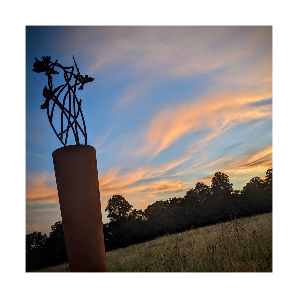 S K Y L A R K S​​​​​​​​​​​​​​​​​​​​​​​​​​​​​​​​​​​​

Huge thanks to WONDERFUL photographer @claredowlingphotography for capturing my steel Skylark sculptures against the setting sun.

5x discrete bat habitats have been integrated into one of the structures. This enhances the biod