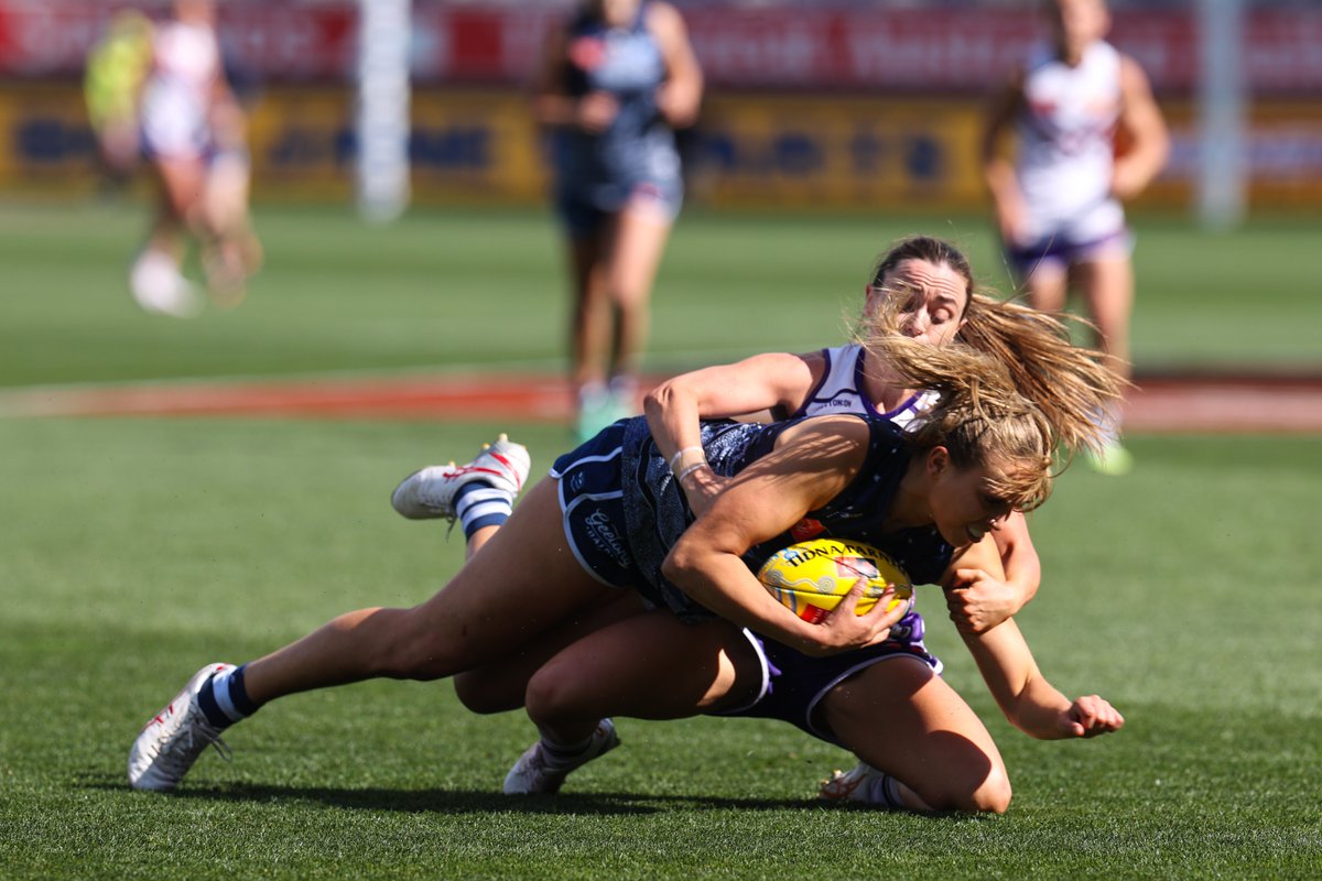freodockersAFLW's tweet photo. Mullaz 💪

@AMull93 #AFLWCatsFreo #KalyakoorlWalyalup https://t.co/vkOekY2N9g