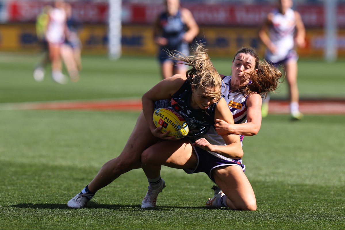 freodockersAFLW's tweet photo. Mullaz 💪

@AMull93 #AFLWCatsFreo #KalyakoorlWalyalup https://t.co/vkOekY2N9g