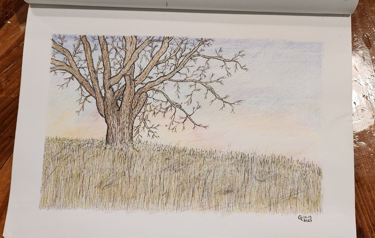 rydlmstr's tweet photo. Oak Tree at Sunset
Pen &amp; Colored Pencil
10-13-23

#littlehouseontheslough 
#riddletreestudio https://t.co/sfftJA0bis