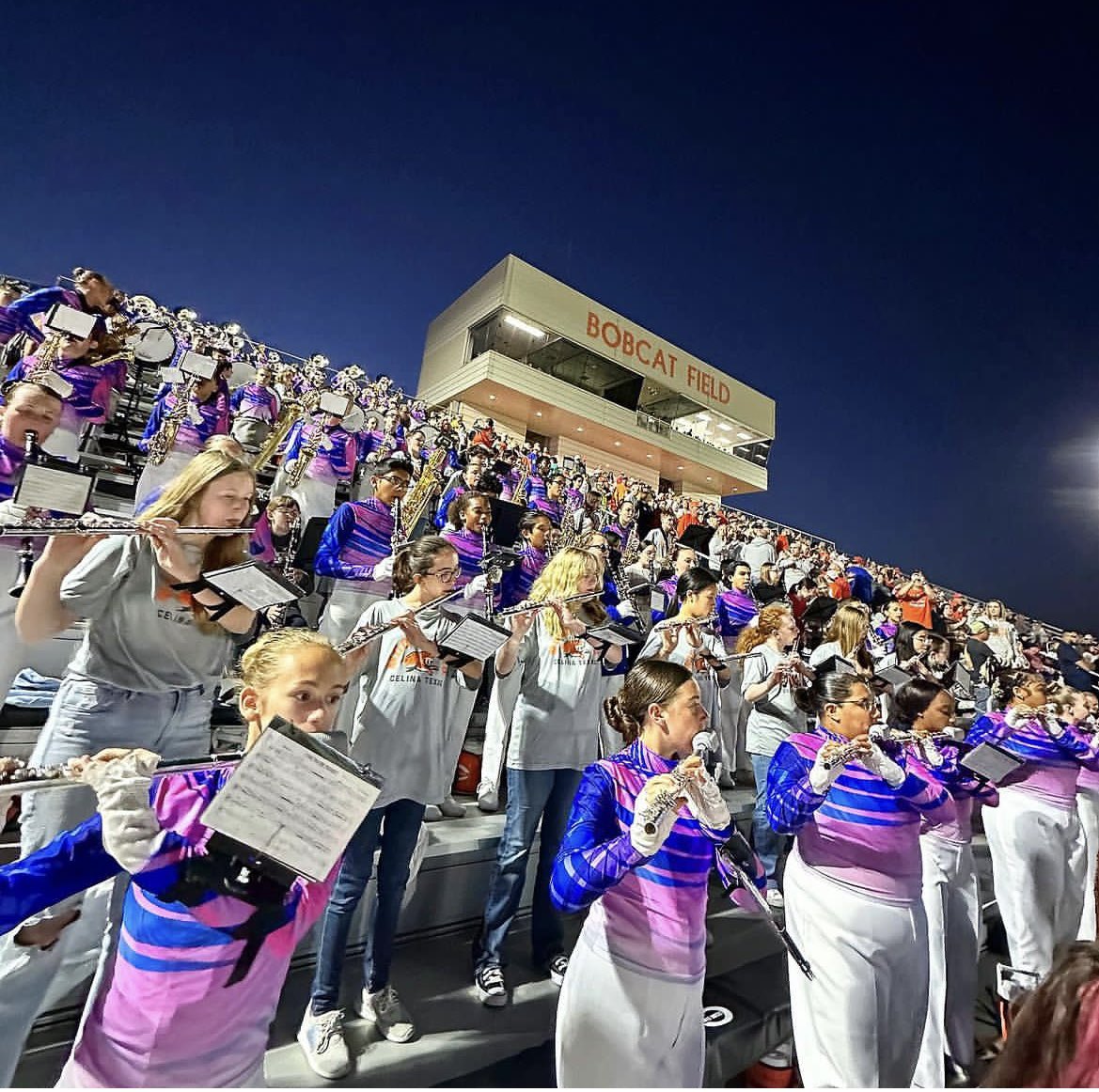 Madelyn Willard tweet media