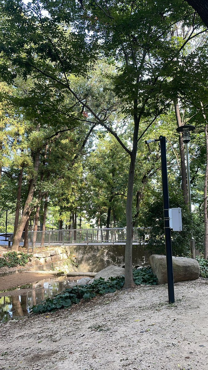 SΞUNGDO The Artist tweet media