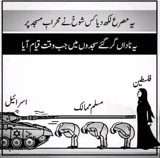 مسلمانوں کے حکمران  اللہ کو  کیا  جواب دیں گے  
ظلم دیکھ کر  خاموش  رہنا ظالم کے ساتھ دینے کے برابر کے  
اللہ پاک  فلسطین کی مدد فرمائیں گے