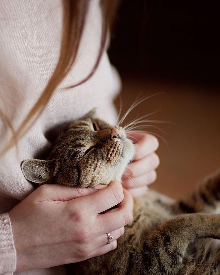 أحيانًا يكون الصمت هو العبارة الأبلغ في التعبير عن الداخل، ليس من قلة الكلام، لكن لاستعصاء الكثير من الثرثرة على محاولات الصياغة.
❤️