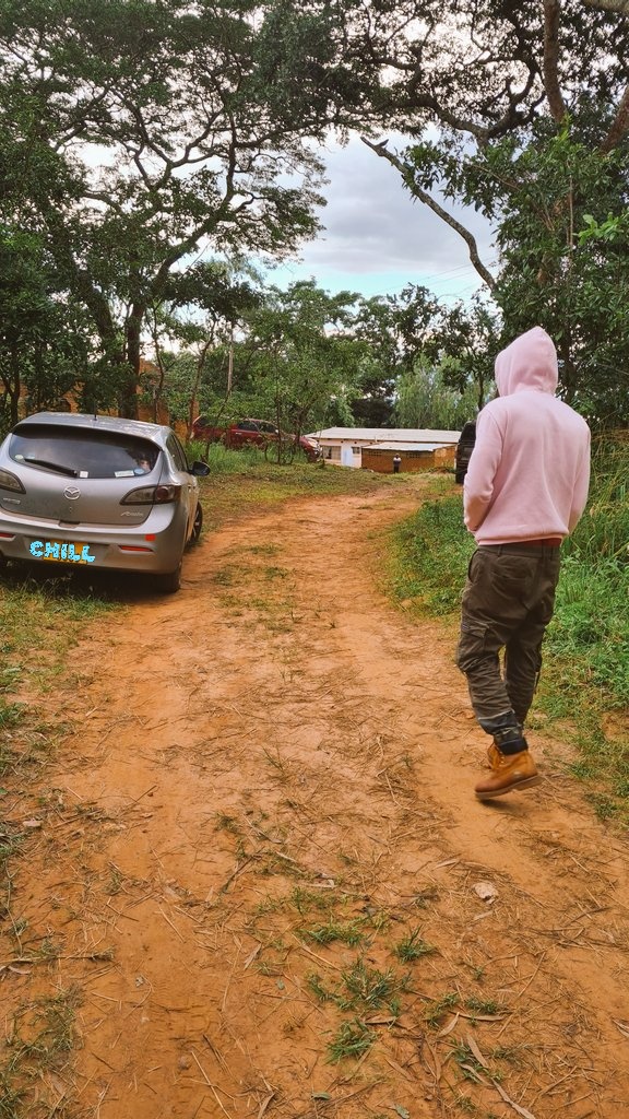 ↑Pure THC🌱 tweet media