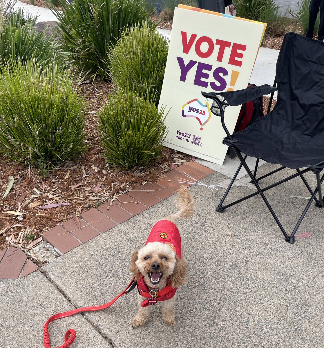 DimityPaul's tweet photo. It’s a yes from us! #YES2023 https://t.co/htoDxmmKay