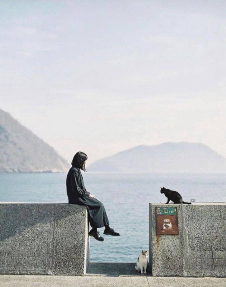 كن لنفسك كل شيء، فالجميع قصة وتنتهي🤍🤍.
Be yourself everything, everyone is a story and it ends.