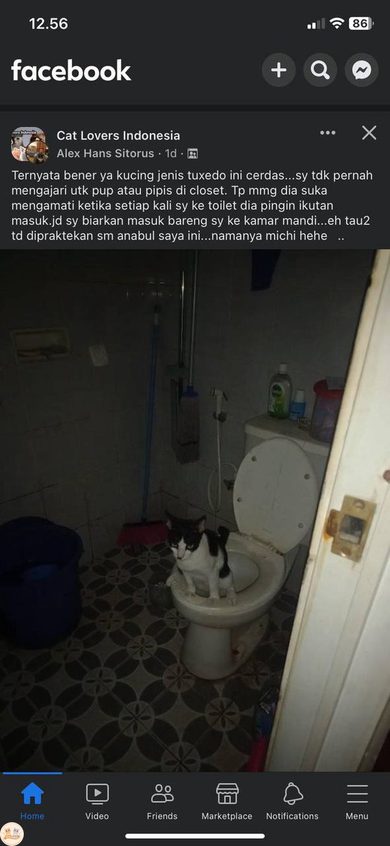 kochengfs's tweet image. kcg! kalian ada yang gini juga gaa?