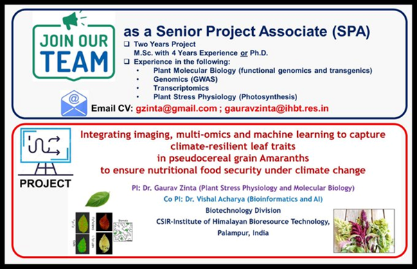PlantAdaptOme's tweet photo. Our research group is looking for a Senior Research Associate (SPA) to work on grain Amaranths
@CSIR_IHBT
MSc with 4 years experience OR Ph.D.
#Pseudocereals #MultiOmics #Imaging #ArtificialIntelligence #C4Crops #Stress #ClimateChange https://t.co/B2dTi1SrBZ