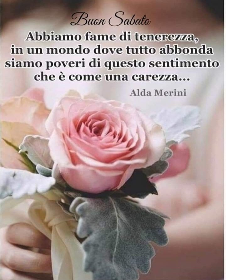 Buongiorno a tutti 🌹🌹🌹