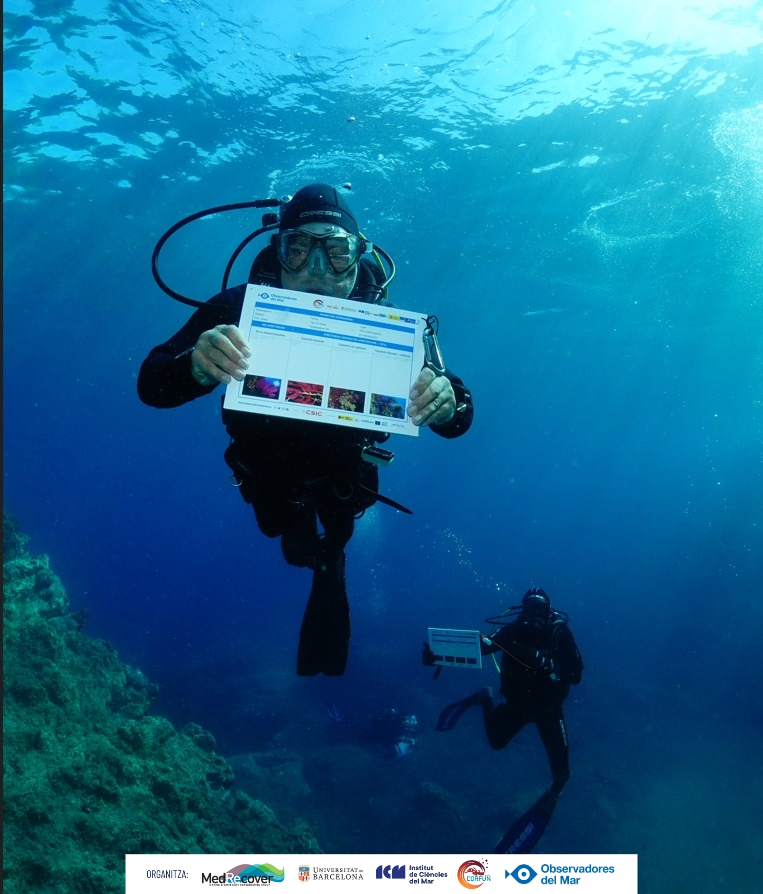 obsdelmar's tweet photo. Avui sortirem amb Diving Center Cadaqués, en el marc dels #CorallWeekends, per obtenir dades sobre l'estat de conservació de les espècies de Gorgònia blanca |Eunicella singularis| i Gorgònia vermella |Paramuricea clavata| i així avaluar l'impacte actual de les onades de calor https://t.co/SPKf4rI3IC