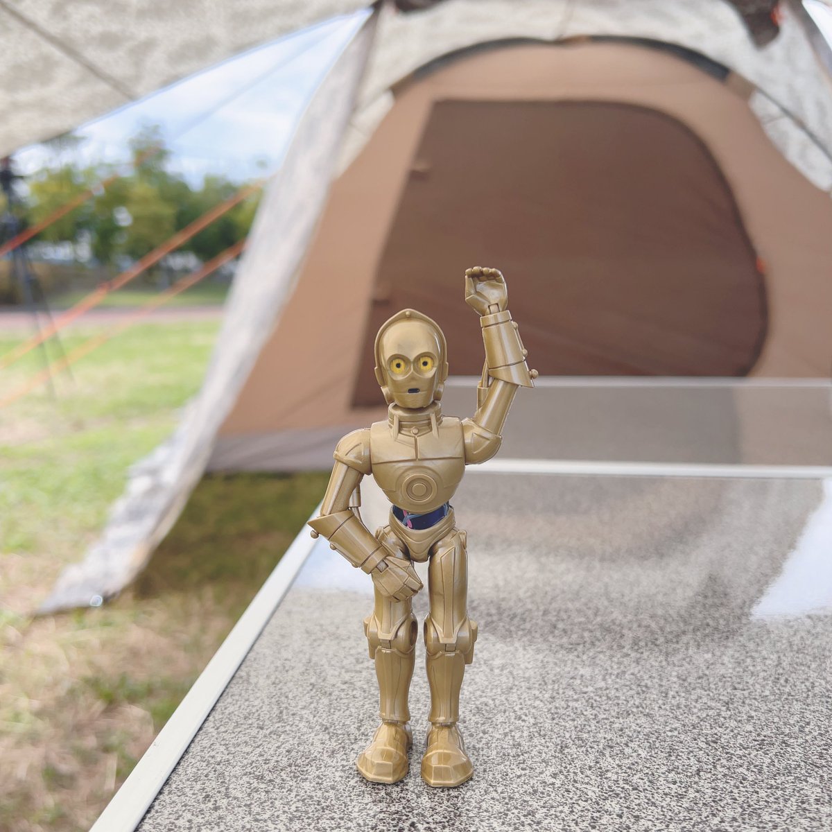 ShizuCamp11's tweet photo. 本日はイオンでキャンプイベントに
参加させて頂いてます🏕️✨
色々頑張ったので後日動画にしたい!🥹
#キャンプ
#アウトドア
#スマートキャンプ
#smartcamp
#幕張新都心
#イオンモール https://t.co/J4SmeBvF6Z