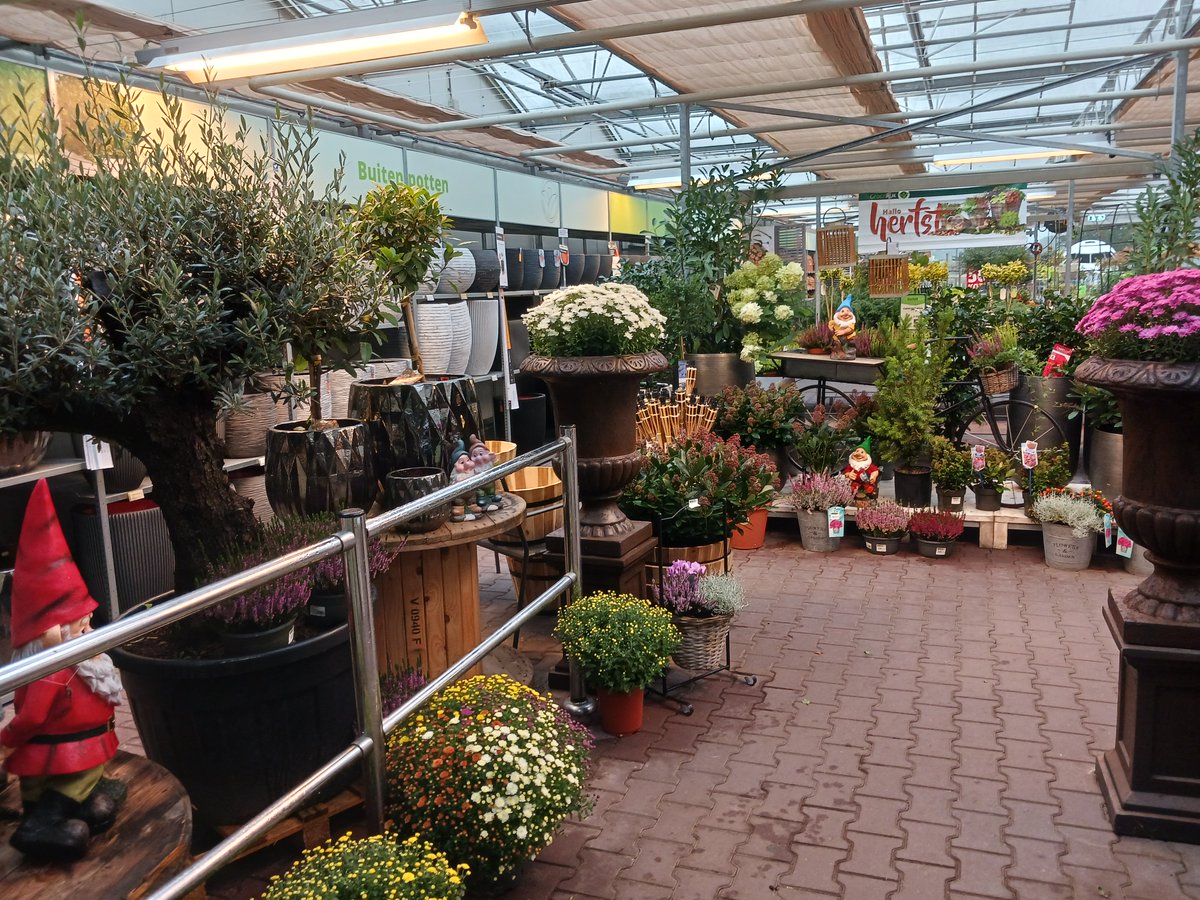 GroenRijkSegers's tweet photo. Gezellig shoppen &amp; overdekt? Kom gezellig langs!
Het GroenRijk team staat voor je klaar, tot zo!
https://t.co/ALdOtDPz4I https://t.co/gvrUQ8b9gE