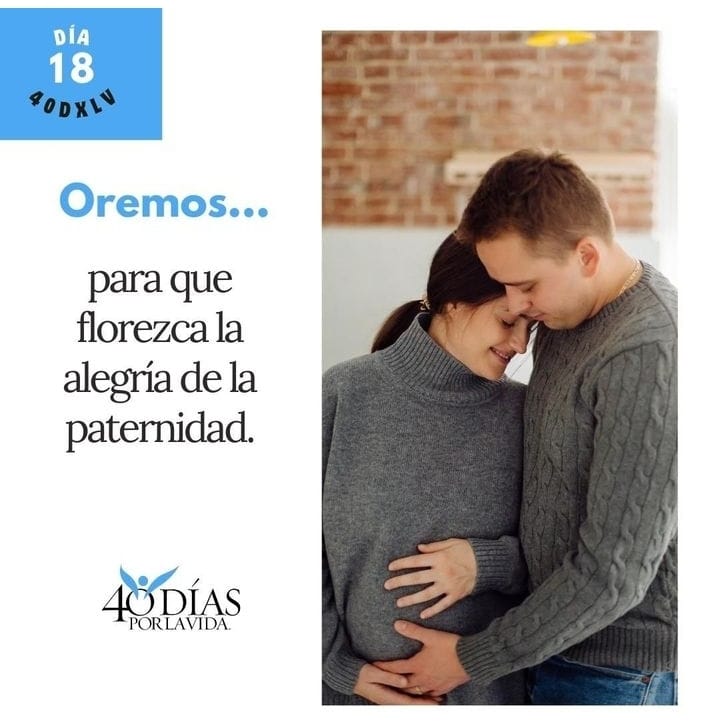archiValladolid's tweet photo. Campaña #40DPLV
Día 18👇👇 https://t.co/vHEzc83AWL